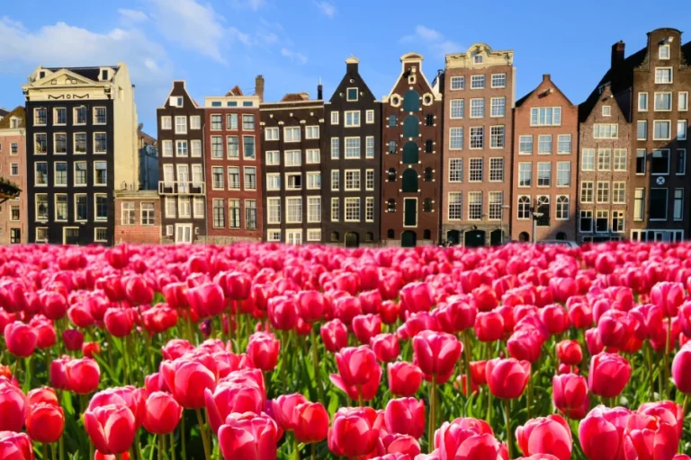 Het stadsleven in Amsterdam: wonen in de culturele hub