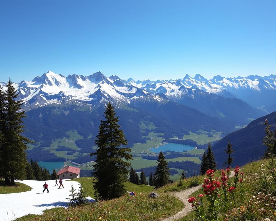 Bergen van de Alpen: skiën en wandelen door Zwitserse bergen